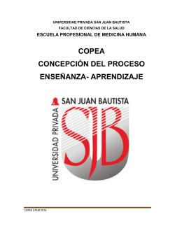 COPEA CONCEPCI&Oacute;N DEL PROCESO ENSE&Ntilde;ANZA