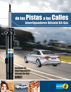 CATALOGO BILSTEIN MEXICO