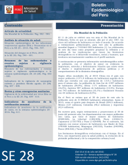 Descargar Bolet&iacute;n 28 en formato PDF