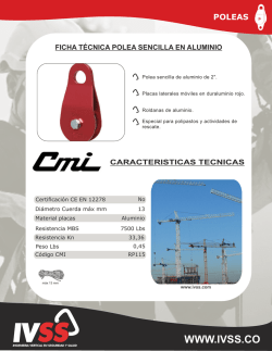 ficha t&eacute;cnica polea sencilla en aluminio