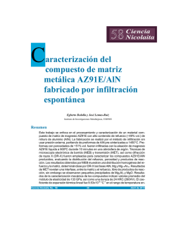 Caracterizaci&oacute;n del compuesto de matriz met&aacute;lica AZ91E/AlN