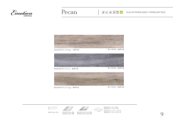 23,3x120 PORCELANICO / PORCELAIN TILES