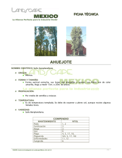 ahuejote - landscape mexico