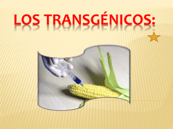 Los Transg&eacute;nicos: