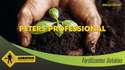 Presentaci&oacute;n de PowerPoint