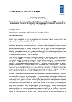 1472 IC T&eacute;rminos de Referencia - Procurement Notices