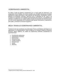 GOBERNANZA AMBIENTAL. MESA TRABAJO GOBERNANZA