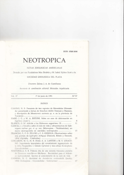 Texto completo digital