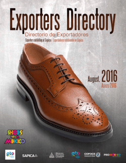 The Mexican Footwear Chamber (CICEG