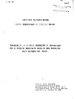 Solicitud de visualizaci&oacute;n al sitio WEB Rechazada