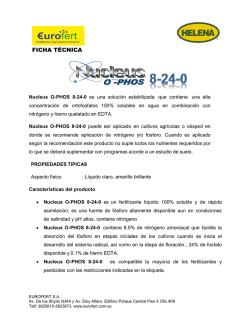 ficha t&eacute;cnica