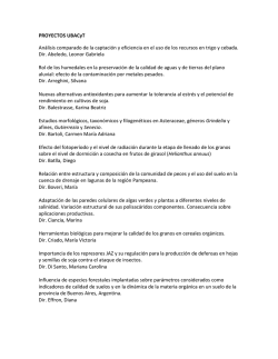 Proyectos de Investigaci&oacute;n