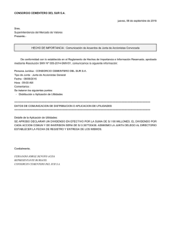 CONSORCIO CEMENTERO DEL SUR SA jueves, 08 de