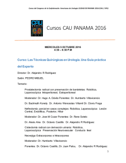Las T&eacute;cnicas Quir&uacute;rgicas en Urolog&iacute;a. Una Gu&iacute;a