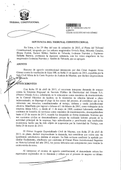 SENTENCIA DEL TRIBUNAL CONSTITUCIONAL En Lima, a los 29