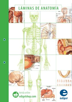 Descargar Anatom&iacute;a