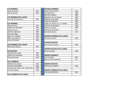 4/6 hembras j&oacute;venes hembras 4/6 hembras pelo largo