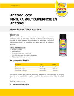 aerocolor&reg; pintura multisuperficie en aerosol