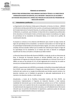 Consultor&iacute;a internacional