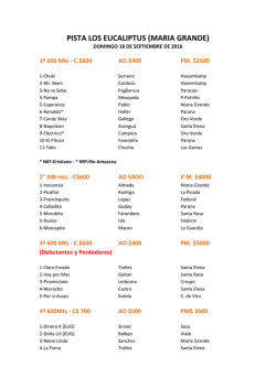 PISTA LOS EUCALIPTUS (MARIA GRANDE)