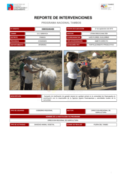 REPORTE DE INTERVENCIONES