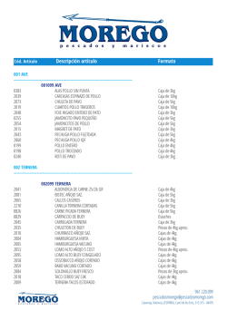 Descripci&oacute;n art&iacute;culo Formato