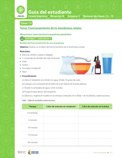 Gu&iacute;a del estudiante