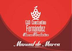 Manual de Marca - Parroquia Constantino Fernandez