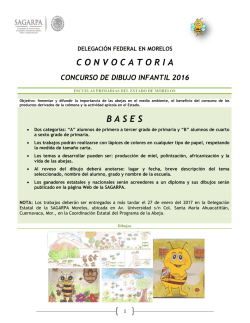 Convocatoria DIBUJO INFANTIL PNPCAA 2016