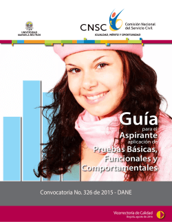 Aspirante Pruebas B&aacute;sicas, Funcionales y Comportamentales