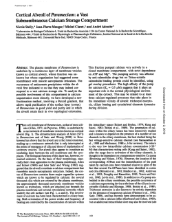 Cortical Alveoli of Paramecium: a Vast