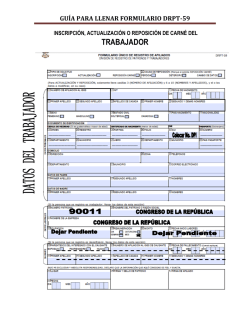 GU&Iacute;A PARA LLENAR FORMULARIO DRPT-59