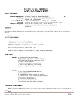 DESCRIPCION DE PUESTO