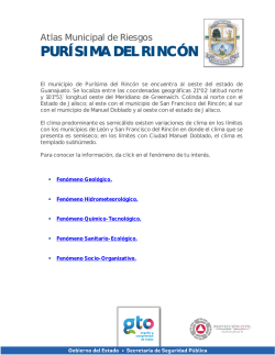 PUR&Iacute;SIMA DEL RINC&Oacute;N