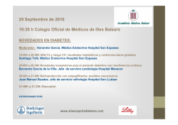 HONORATO - Sessi&oacute; Endocrinologia 29set16 -2