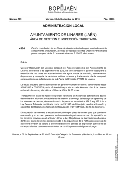 ayuntamiento de linares (ja&eacute;n)