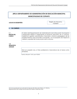 Perfil del cargo - Alta Direcci&oacute;n P&uacute;blica