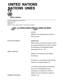 Script  - Naciones Unidas