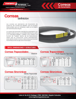 Correas - Bogot&aacute;