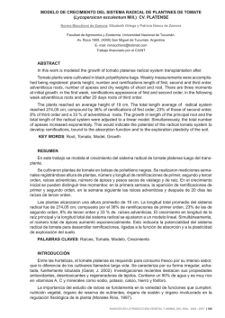 MODELO DE CRECIMIENTO DEL SISTEMA RADICAL DE