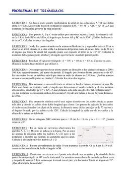 PROBLEMAS DE TRI&Aacute;NGULOS