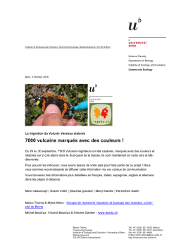 Word-Dokumentvorlage Version 1.2 (Multilanguage)