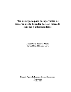 Plan de negocios para la exportaci&oacute;n de camar&oacute;n desde Ecuador
