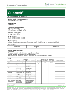 Infinito - Mi cultivo con Bayer