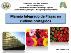 Presentaci&oacute;n de PowerPoint - Universidad Central de Venezuela