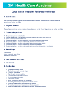 Programa Curso Heridas 2016 CIC