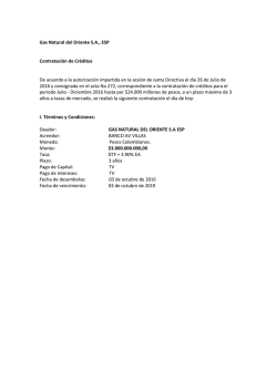 Gas Natural del Oriente S.A., ESP Contrataci&oacute;n de Cr&eacute;ditos De