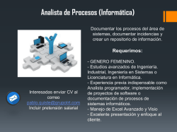 Analista de Procesos (Inform&aacute;tica)