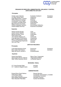 Organos de administraci&oacute;n