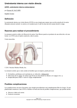 Uretrotom&iacute;a interna con visi&oacute;n directa